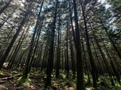 -芦芽山旅游度假区