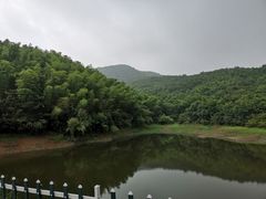 -石塘人家