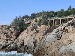 -广东惠东海龟国家级自然保护区