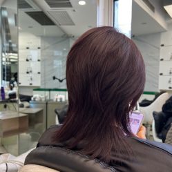 -潘多拉Hairsalon
