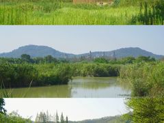 -下渚湖国家湿地公园科普馆