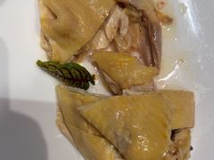 -望乡楼上海菜(日月光店)