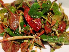 -蓉城小馆(科兴店)