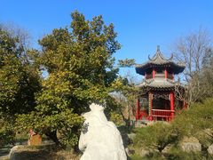 -观唐（国际）度假村温泉