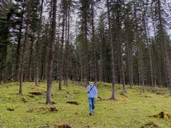 -硗碛藏寨·神木垒景区