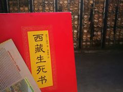 -比如骷髅墙景区