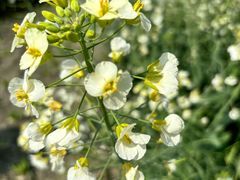 -中国天府农业博览园