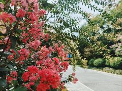 -杭州城北体育公园