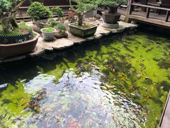 -贵州省植物园