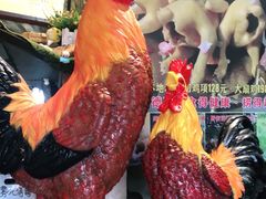-食德喜·阳山鸡王食研基地