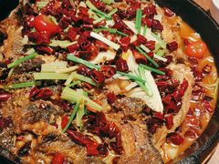 -老板恋上鱼(恒隆广场店)