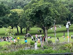 -东莞植物园