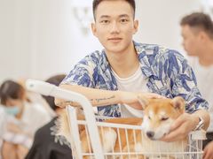 -Let's go狗咖·猫咖·奶狗·桌游(春熙路IFS店)