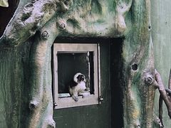 -广州长隆旅游度假区