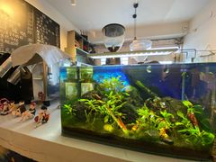 -一杯海(国际海水浴场店)