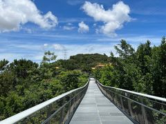 -仙岳公园