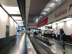 -维也纳国际机场