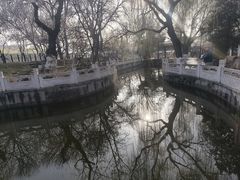 -桃花堤公园