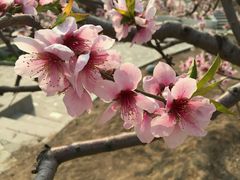 android_upload_pic-旗山国家森林公园