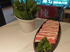 -椰子湾·海南火锅·糟粕醋·椰子鸡(正大广场店)