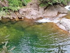 -姑婆山旅游区
