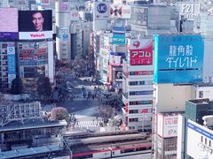-涩谷区