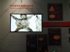 -西藏文化博物馆