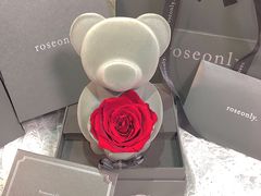 -ROSEONLY诺誓(磐基中心店)