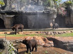-海南热带野生动植物园
