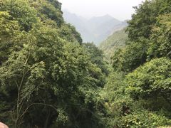 -少华山国家森林公园