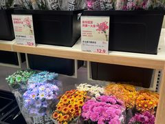 -金茂览秀城