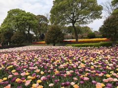 -上海鲜花港