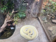 -上海大自然野生昆虫馆(东方明珠·爬宠昆虫探索中心)
