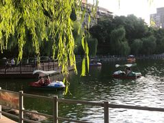 -莲湖公园