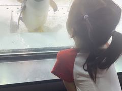 -大连圣亚海洋世界