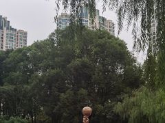 -苏州河梦清园环保主题公园