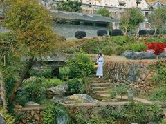 -雁南飞茶田景区