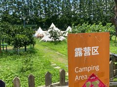 -前小桔亲子创意农场·草莓采摘·露营烧烤