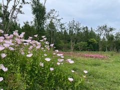 -白鹭湾湿地公园