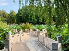 -莲池书院博物馆