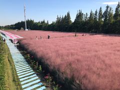 -嘉北郊野公园北游客中心-地上停车场