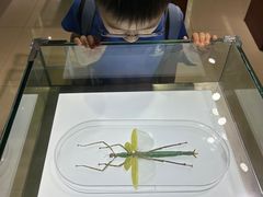 -上海昆虫博物馆