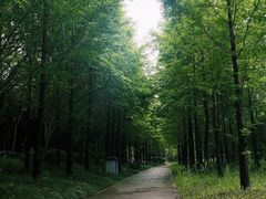 -狼山风景名胜区