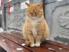 -终南山南五台景区