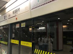 -桃浦新村(地铁站)
