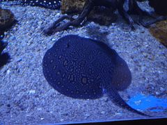 -华夏文旅西安度假区