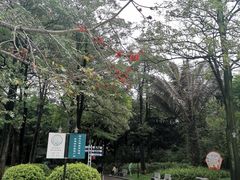 -东风公园