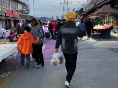-中环花鸟鱼虫市场