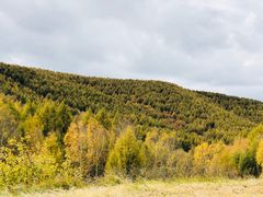 -塞罕坝国家级自然保护区