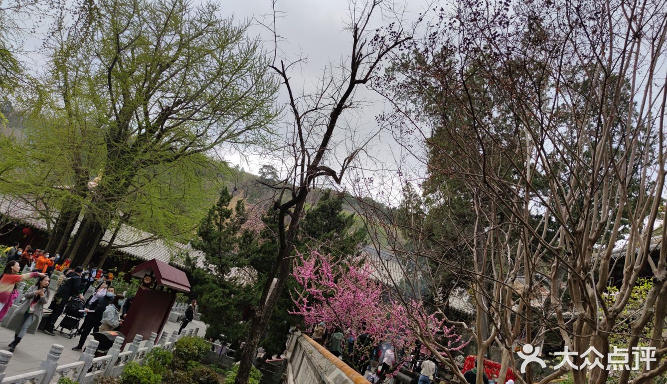 60岁以上的叔叔阿姨免票，我是在大众点评上预约的